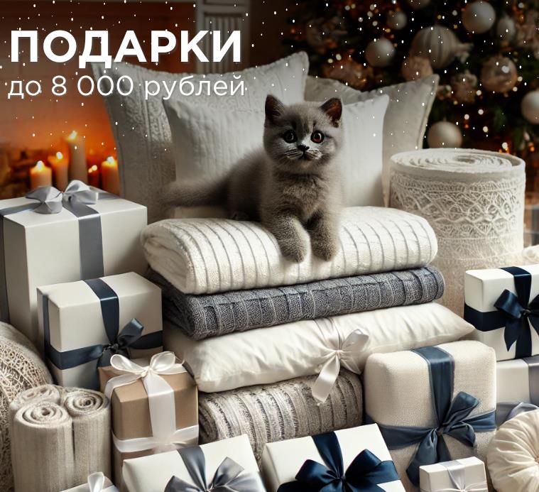 до 8 000 рублей